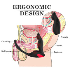 Vibrating Prostate Massager with Cock Ring Remote Control